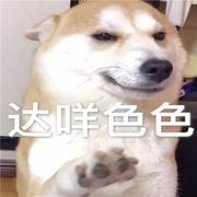 APIGuy的个人资料头像