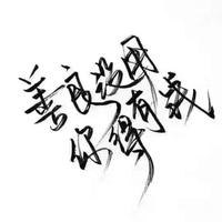 智慧布雷特5t3头像