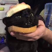 SupY的个人资料头像