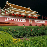 小老弟41头像