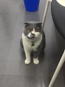 春日野柚的个人资料头像