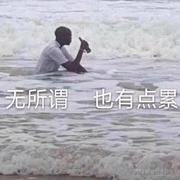 星光榴莲鸡的个人资料头像