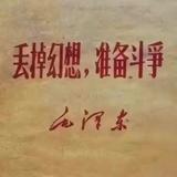 张曲鑫鑫鑫柏头像