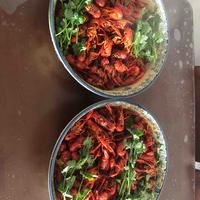 2011年的大众头像