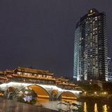 冰镇格瓦斯s头像