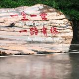 追求者_230270612头像