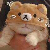 哇噻431头像