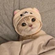 Ramda_猫的个人资料头像