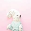 TIME的个人资料头像