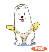 冷叶的个人资料头像