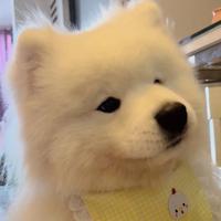 起步熄火的Aspire头像