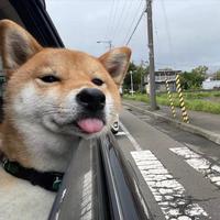 用户8852984404229头像