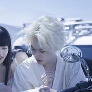 明月照影归的个人资料头像