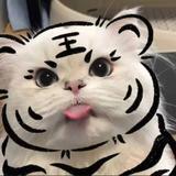 额尔德穆图头像