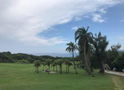 ccun的个人资料头像