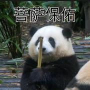 Promise83的个人资料头像