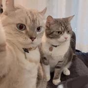 今日小雨转晴的个人资料头像