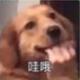 Chenhaisheng头像