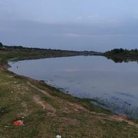 聪明的饺子h9S头像