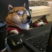 ZBH4444的个人资料头像