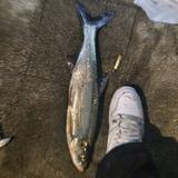 郁闷BB头像