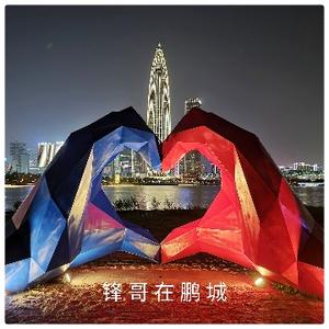 锋哥在鹏城头像