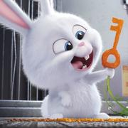 木白白的个人资料头像