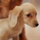 用户50236643918头像