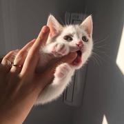 啊哩哩能有什么坏心眼呢的个人资料头像