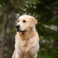 带小5去打酱油头像