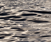 瓶人的个人资料头像