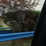 坡哥的春花秋月冬梅夏荷头像