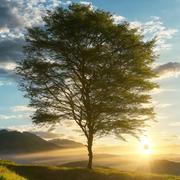 凌云BLUE的个人资料头像