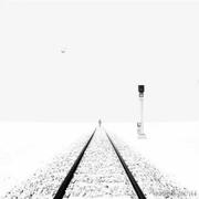 后梁的个人资料头像