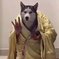 轻松富锦9v6头像