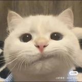 用户7148890594293头像