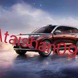 岚图泰山车友会头像