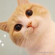 Fisher123的个人资料头像