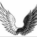 明翼本尊的个人资料头像