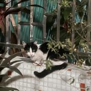 杯杯杯具的个人资料头像