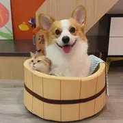 白竹的个人资料头像