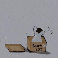 弓晓月头像