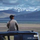 番茄1768486767964478头像