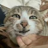 俊俏扑克LnX头像