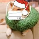 rtl的个人资料头像