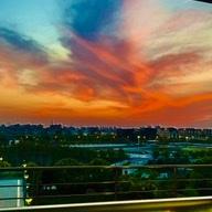 哈利波特骑菠萝头像