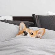 阿立ALI的个人资料头像