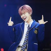 代码小鱼的个人资料头像