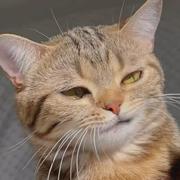 未来人56的个人资料头像