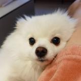 此生必驾318丰驰IZOA头像